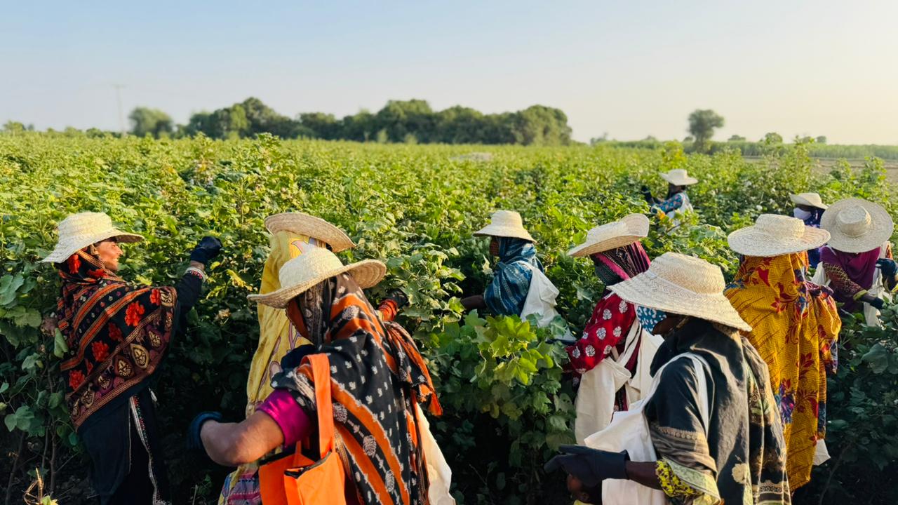 Decent Work for Women Agriculture Workers - Women working in agricultural field